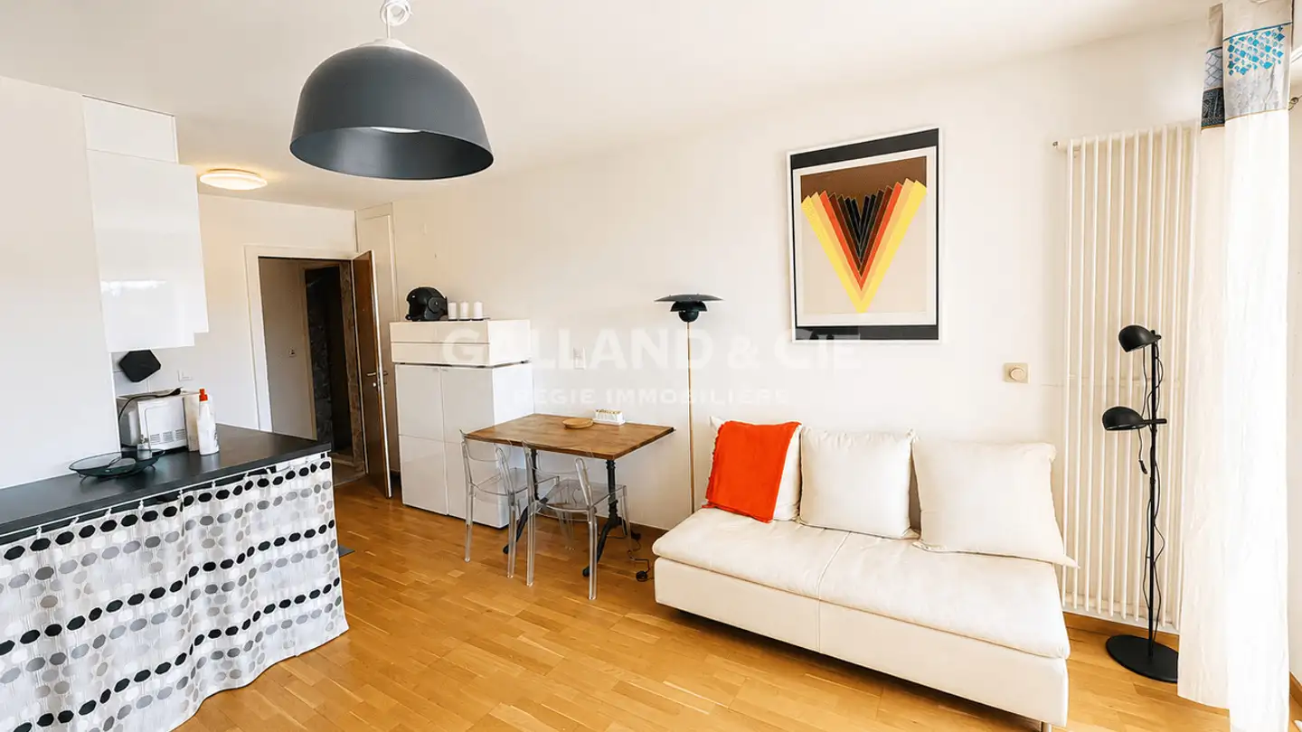 Appartamento ammobiliato in affitto - Chemin Du Devin 47c, 1012 Lausanne - Foto 3