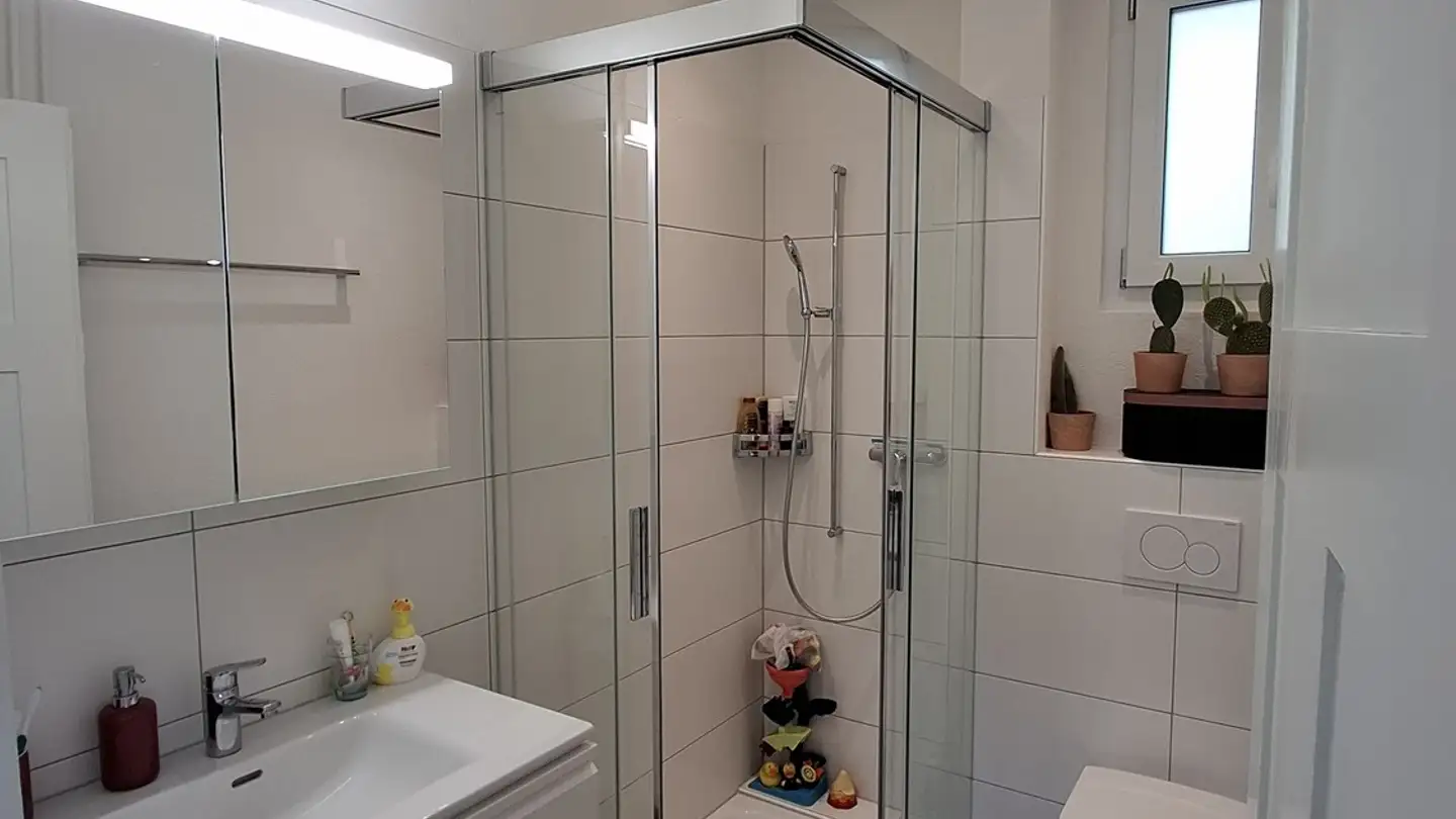 Apartment for rent - Buttenaustrasse 9, 8134 Adliswil - Photo 4