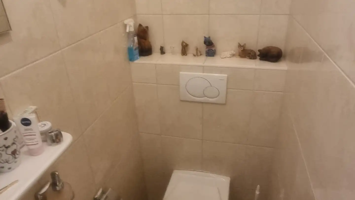 Apartment for rent - Route Du Simplon 33, 3960 Sierre - Photo 4