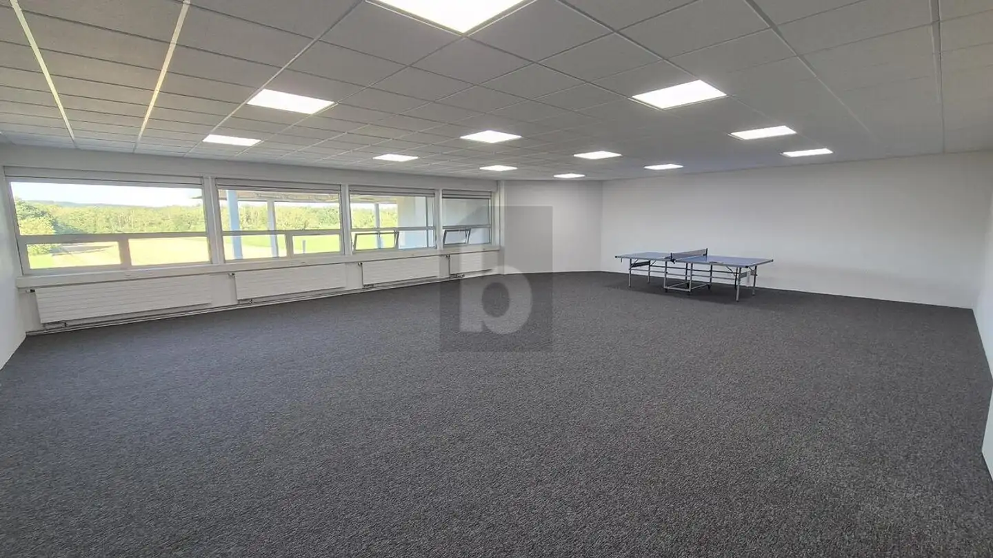 Office space for rent - 8153 Rümlang