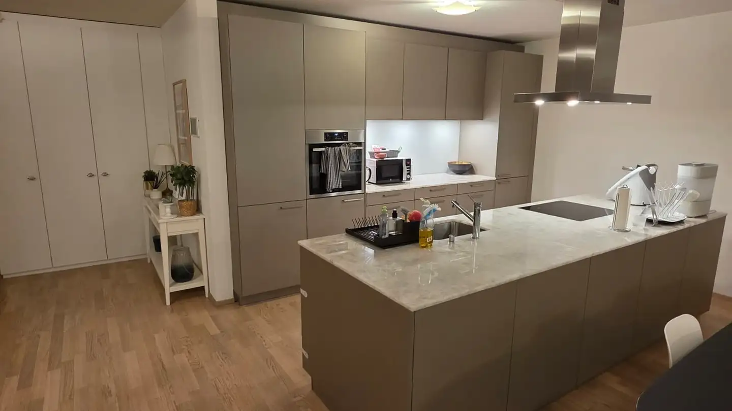 Appartamento in affitto - Butzenstrasse 130, 8041 Zürich - Foto 2