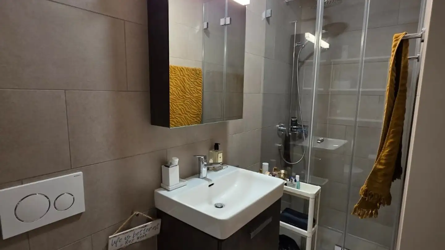 Appartamento in affitto - Butzenstrasse 130, 8041 Zürich - Foto 4