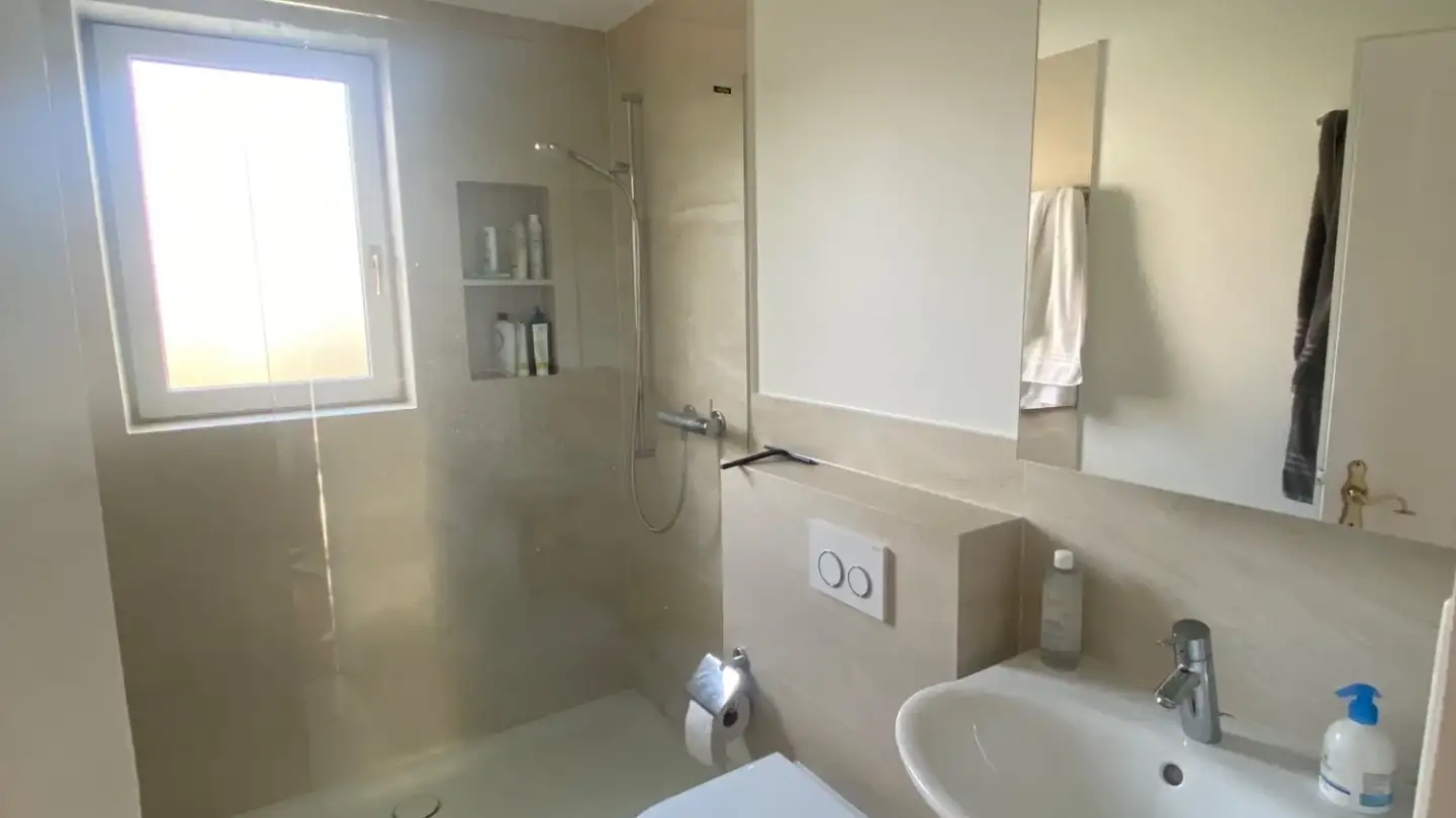 Single room for rent - Freiestrasse 20, 8952 Schlieren - Photo 4