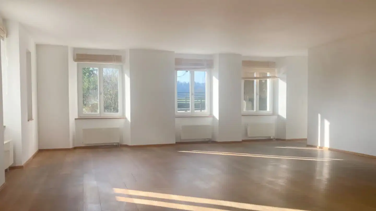 Casa singola in vendita - Scherzbergweg, 5212 Hausen AG - Foto 2