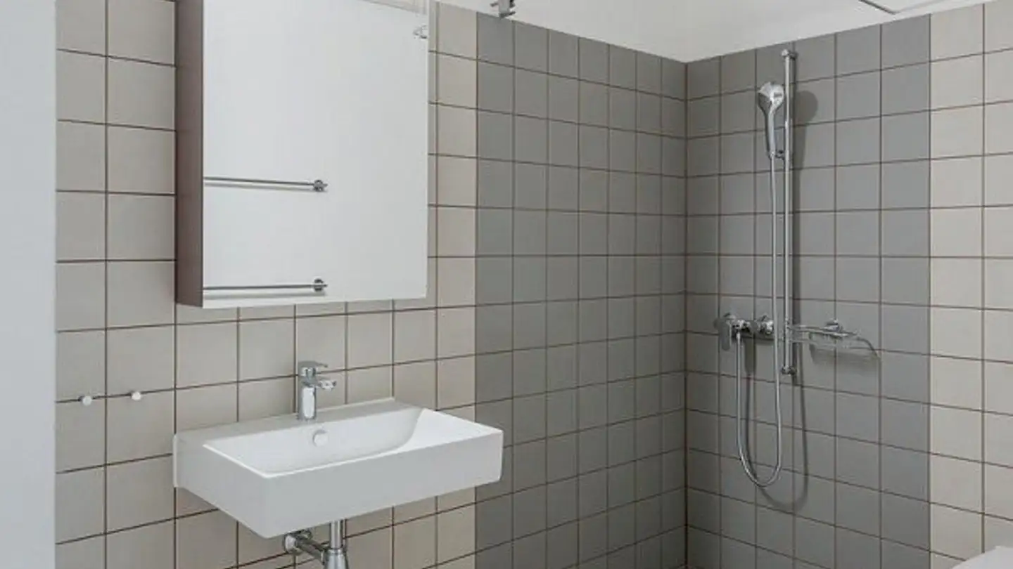 Appartement à louer - Hardstrasse 6, 8105 Regensdorf - Photo 3