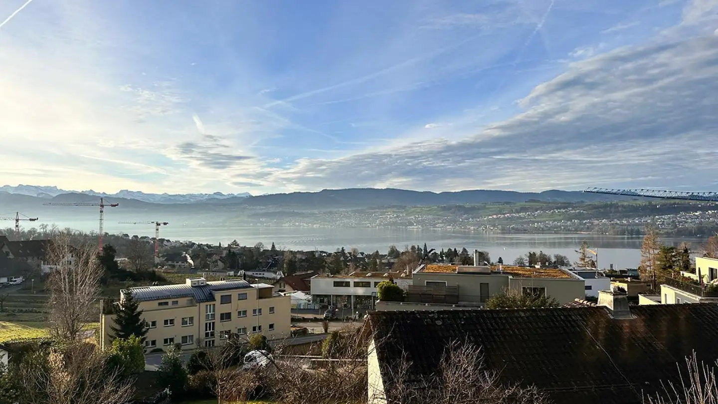 Casa singola in affitto - Austrasse 32, 8706 Meilen