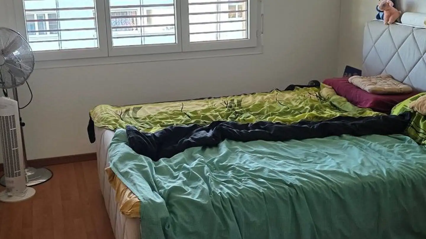 Appartamento in affitto - Moosmattstrasse 6, 6221 Rickenbach LU - Foto 3