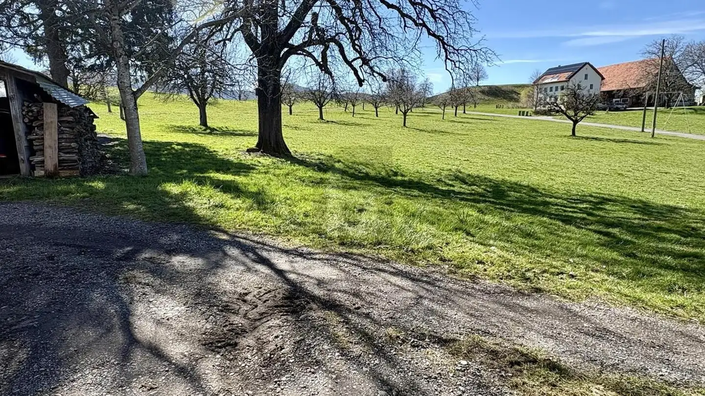 Factory for rent - 8824 Schönenberg ZH - Photo 3