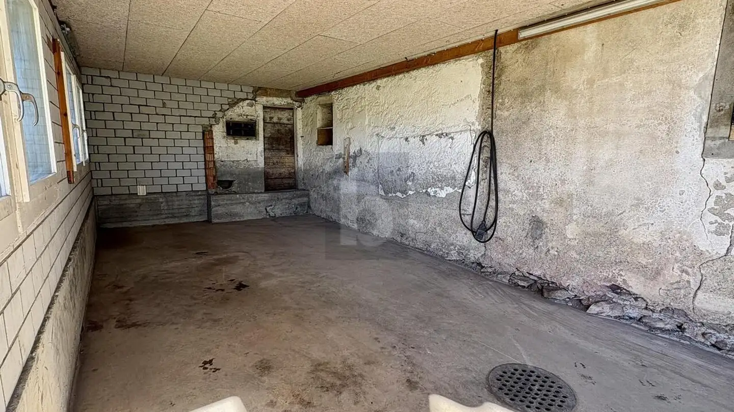 Factory for rent - 8824 Schönenberg ZH - Photo 4