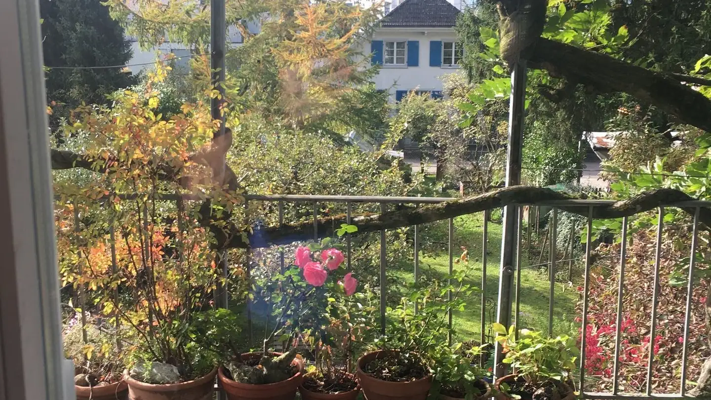 Apartment for rent - Poststrasse 11, 3073 Gümligen - Photo 3