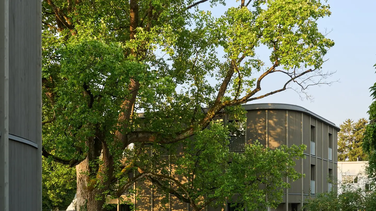 Appartamento in affitto - Aarwangenstrasse 55b, 4900 Langenthal - Photo 3