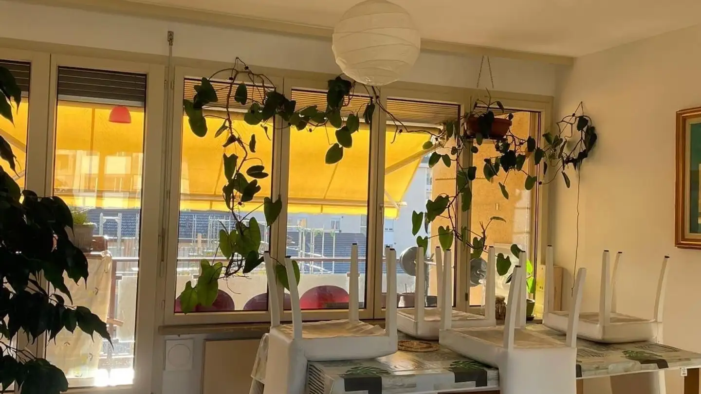 Appartamento in affitto - Piazza Molino Nuovo, 6900 Lugano - Foto 4