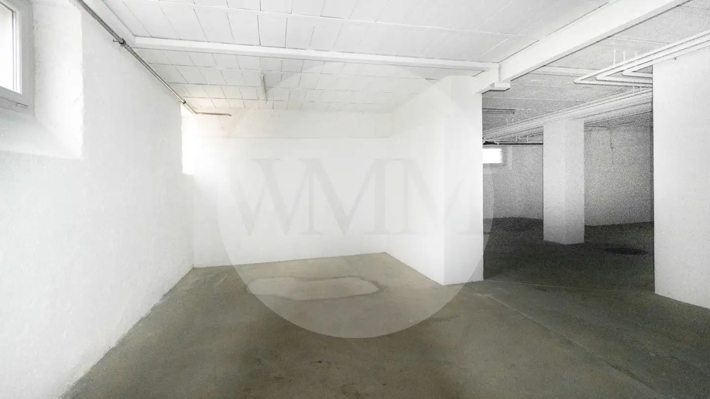 Storage space for rent - Via Pietro Capelli 10, 6900 Lugano - Photo 2