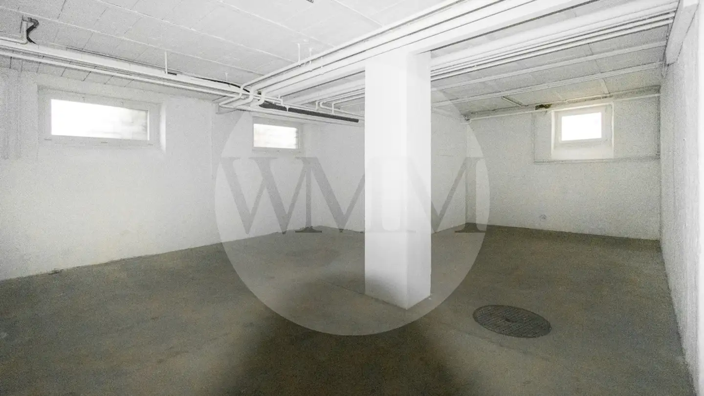 Storage space for rent - Via Pietro Capelli 10, 6900 Lugano - Photo 3