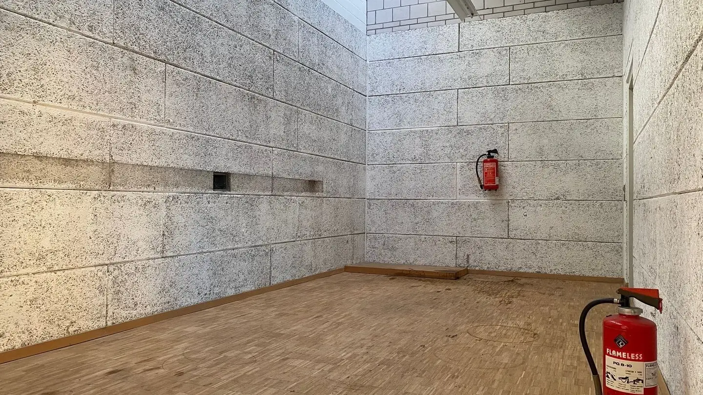 Industrieimmobilie mieten - Neumattstrasse 36, 5000 Aarau - Foto 4