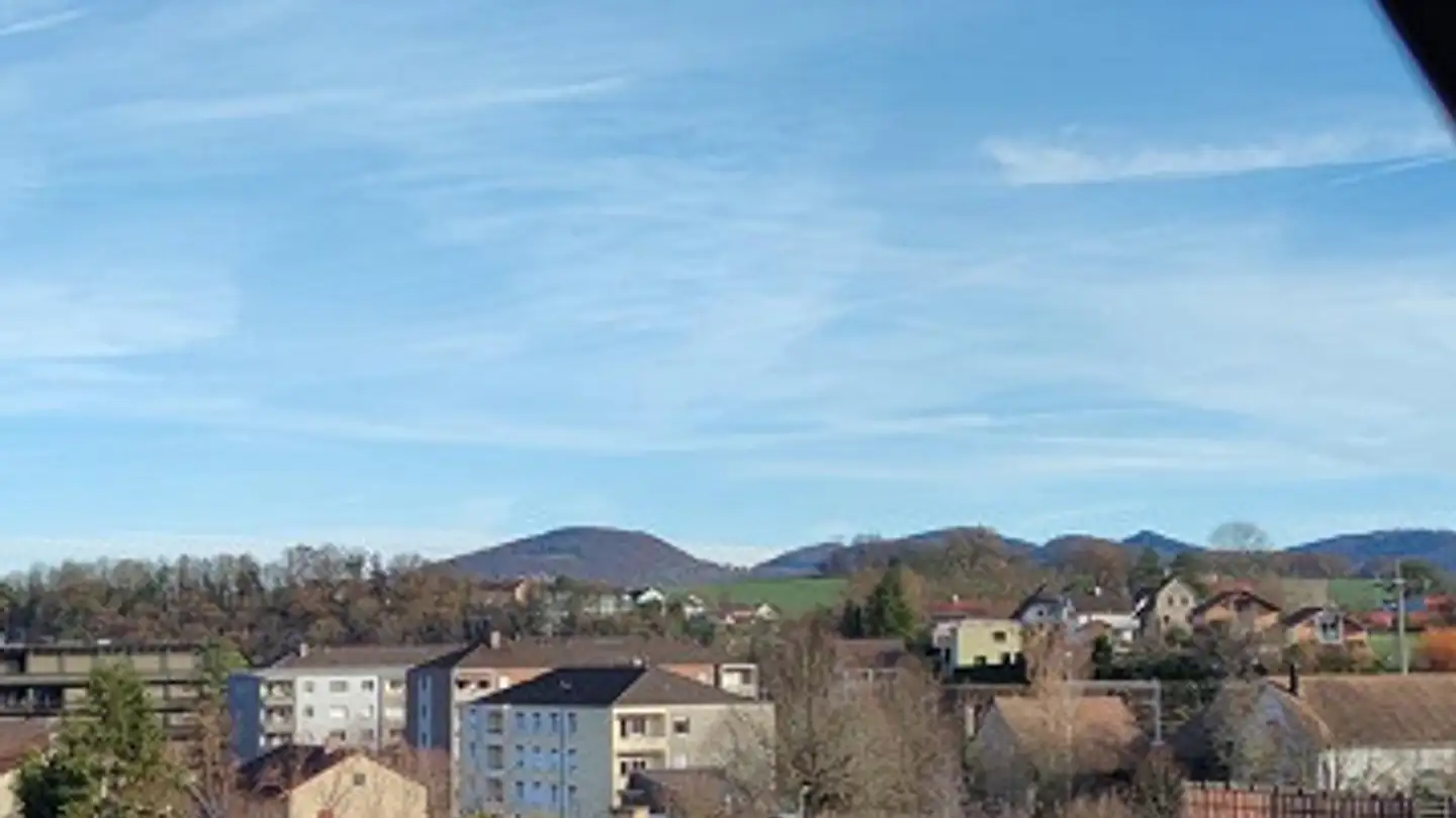 Appartamento in affitto - Hauptstrasse 5, 4242 Laufen - Foto 3
