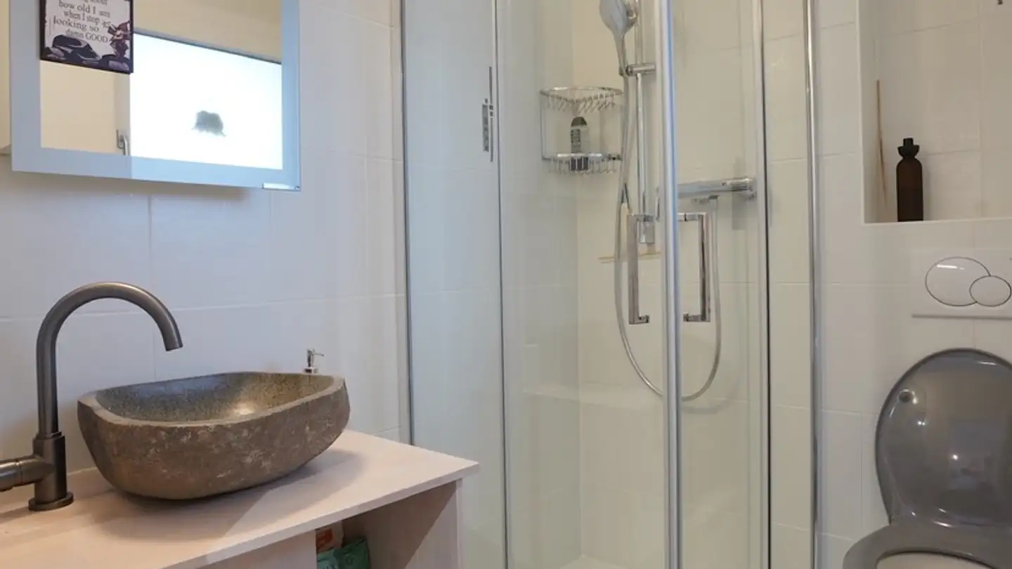 Appartamento in affitto - Chemin Du Bouzenet 12, 1033 Cheseaux-sur-Lausanne - Foto 4