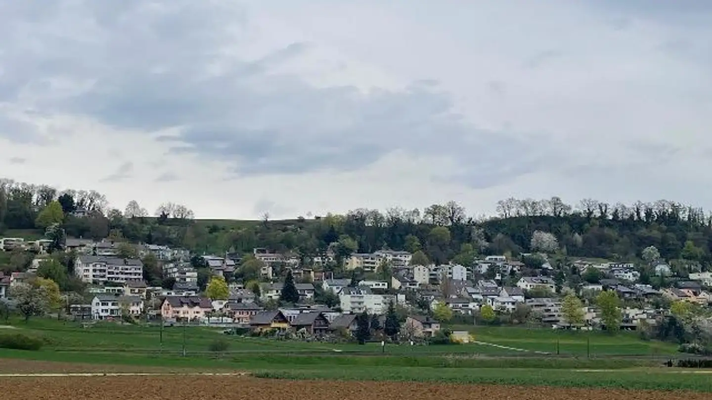 Haus kaufen - Münchbrunnenstrasse 20, 8240 Thayngen