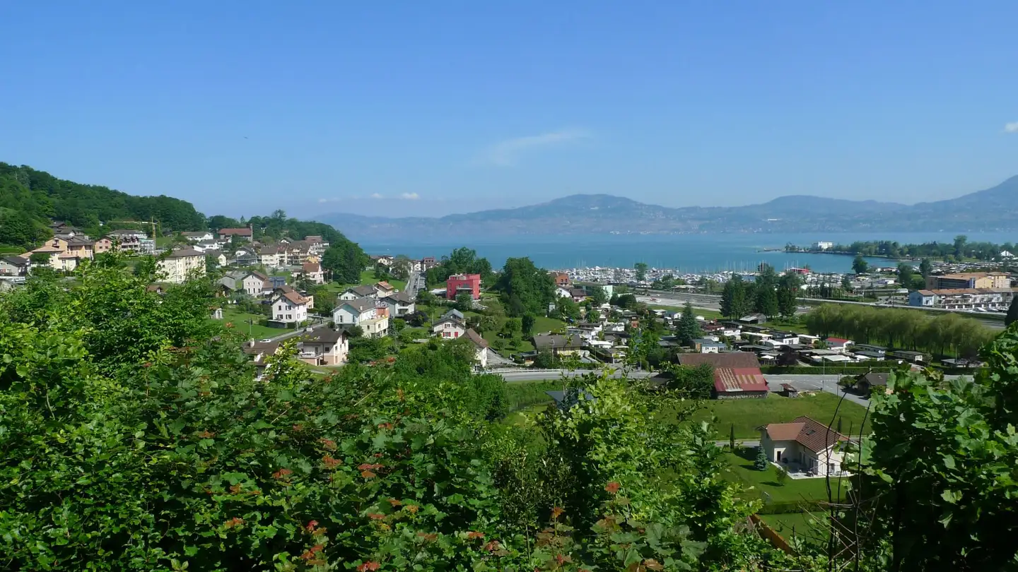 Maison individuelle à vendre - 1897 Bouveret - Photo 2