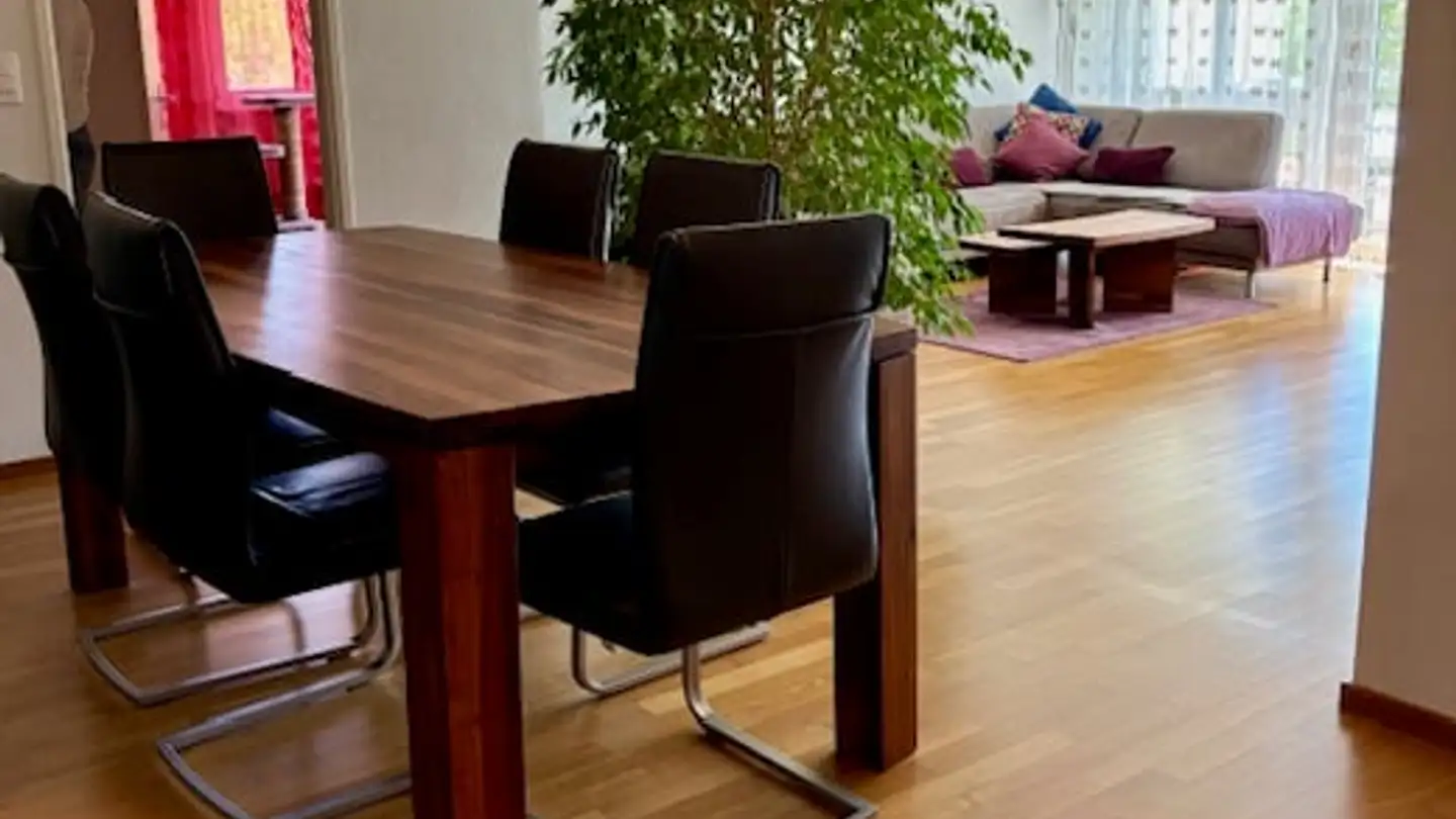 Apartment for rent - Hardeggstrasse 27, 8049 Zürich - Photo 4
