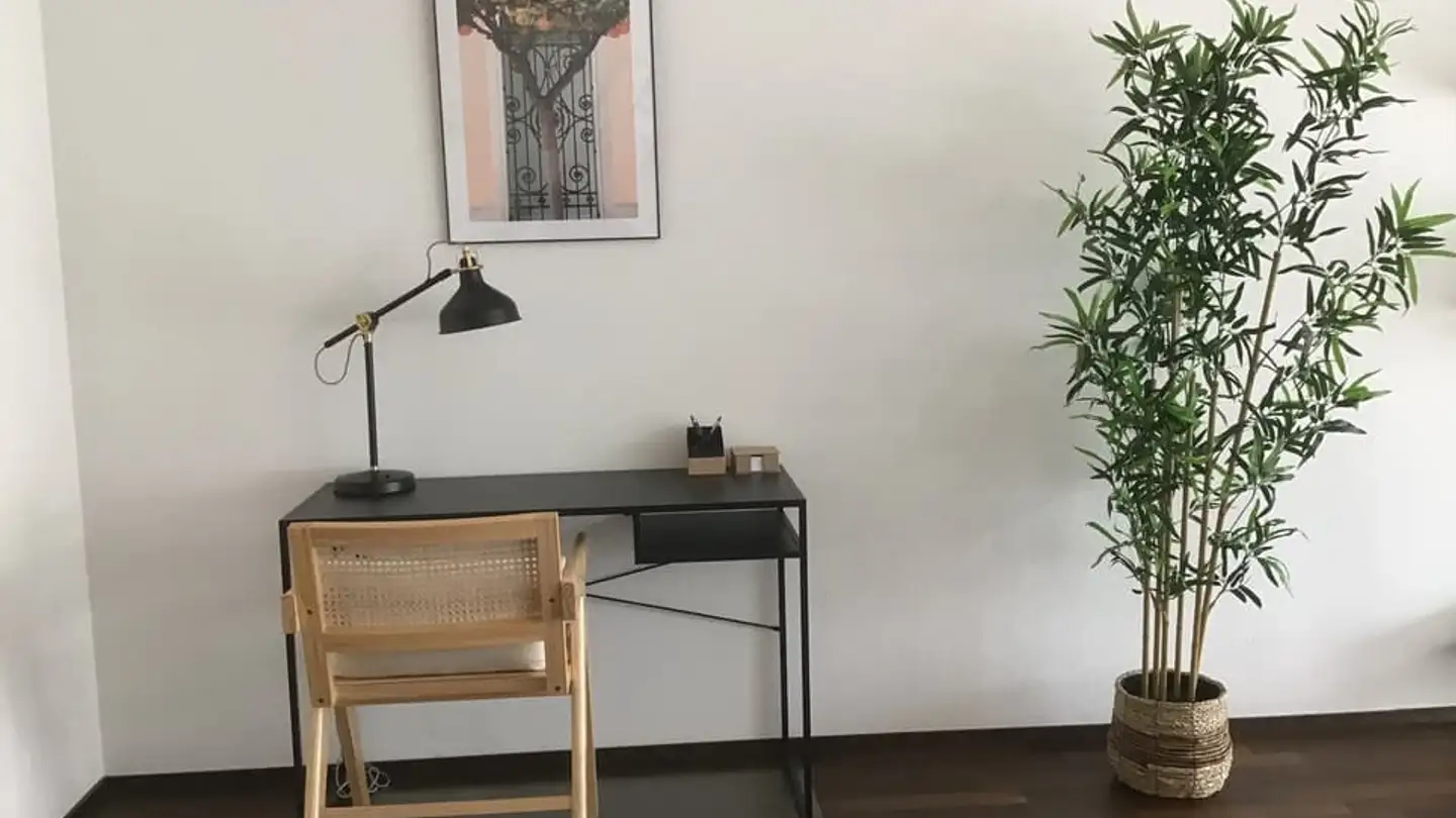 Appartamento in affitto - Avenue Ignace Paderewski 26, 1110 Morges - Photo 3