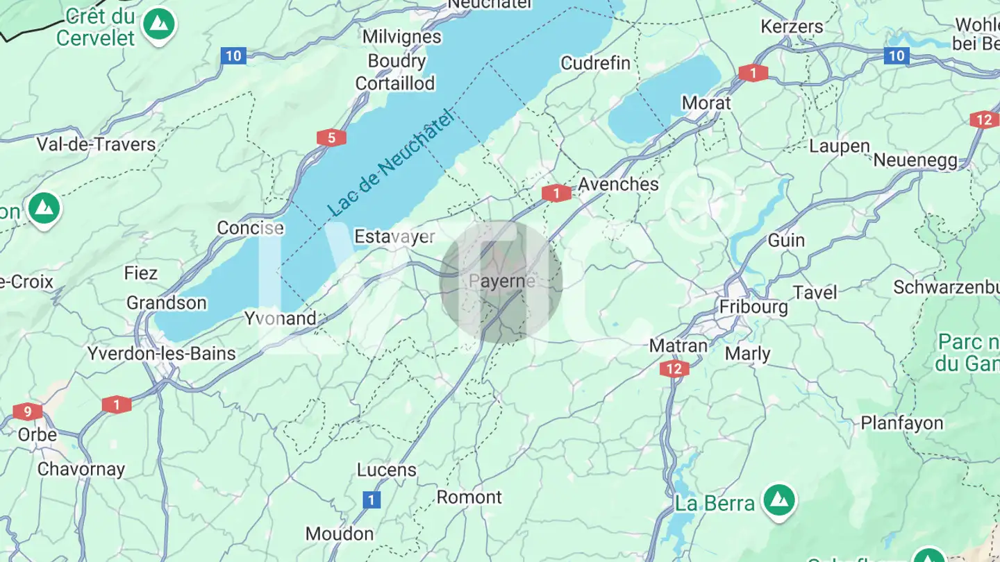 Gewerbe kaufen - 1530 Payerne - Foto 2