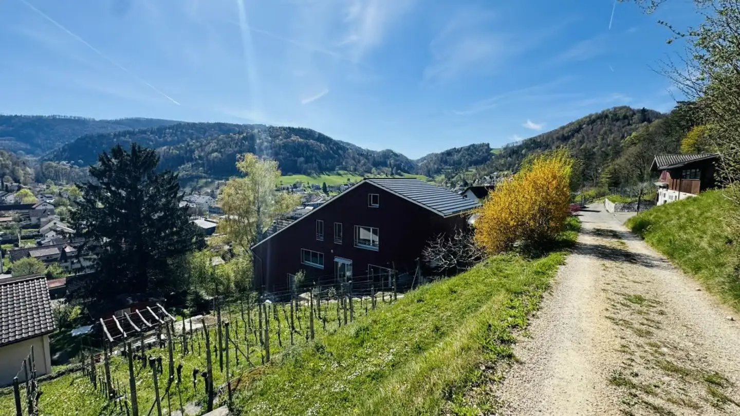 Einfamilienhaus kaufen - Dielenbergweg 16, 4436 Oberdorf BL - Foto 3