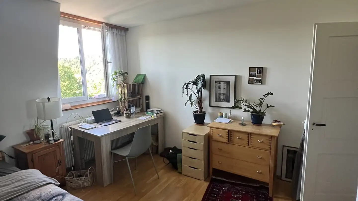 Appartamento in affitto - Schlosshofstrasse, 8400 Winterthur