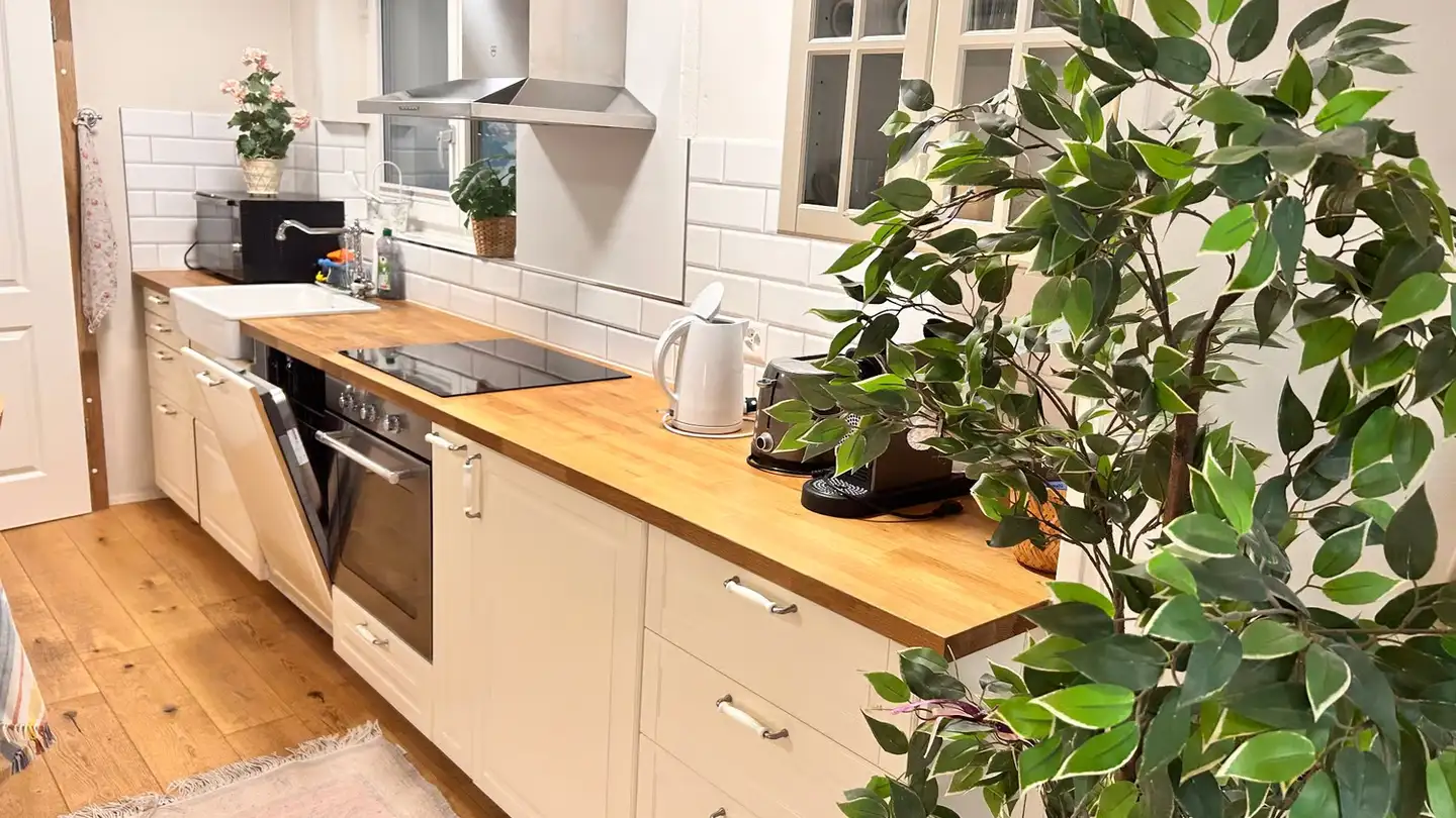 Apartment for rent - Entfelderstrasse 7, 5012 Schönenwerd