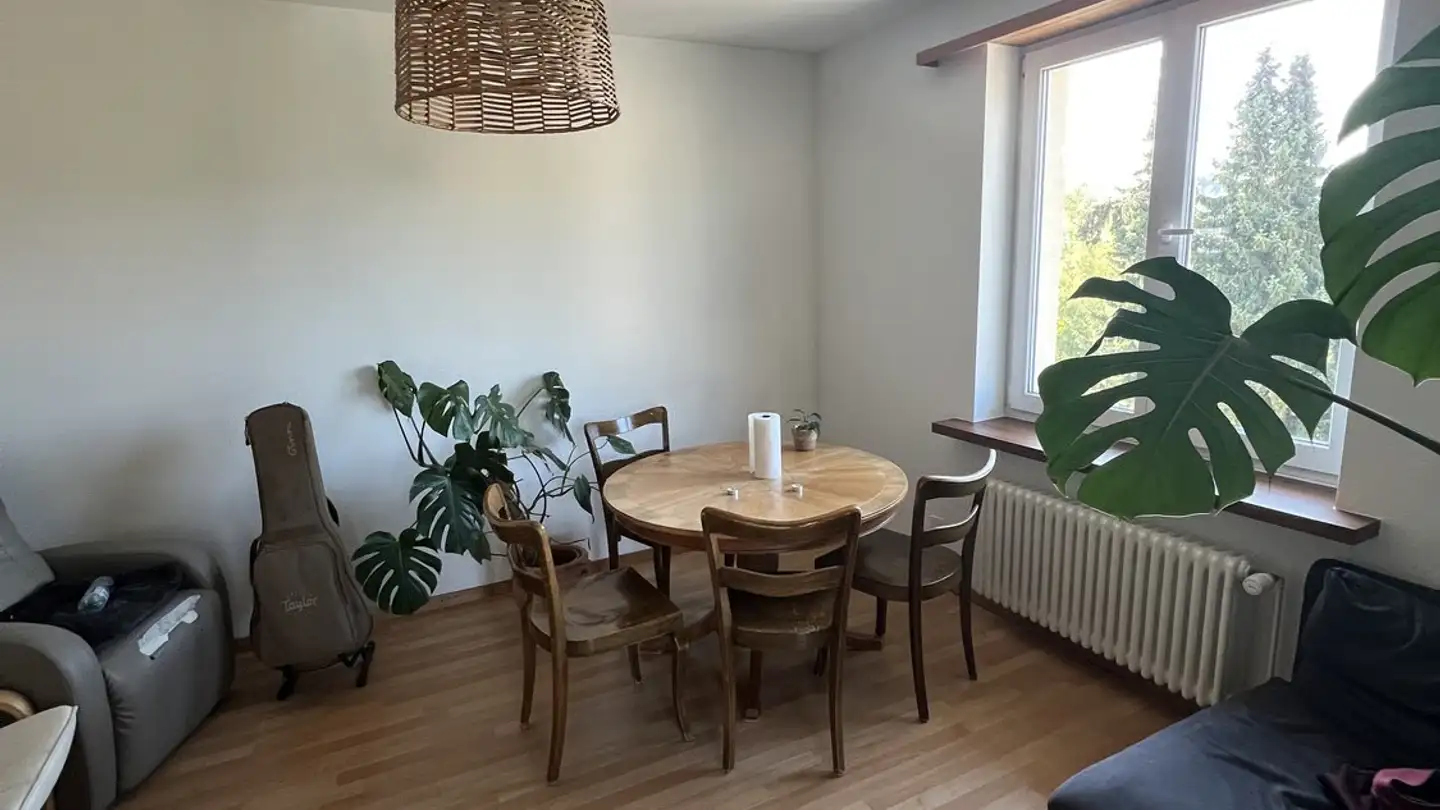 Appartamento in affitto - Schlosshofstrasse, 8400 Winterthur - Foto 3