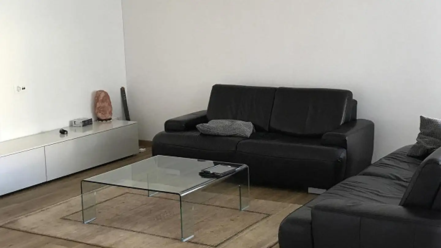 Appartamento in affitto - Sulzbergstrasse 5, 8400 Winterthur - Foto 3