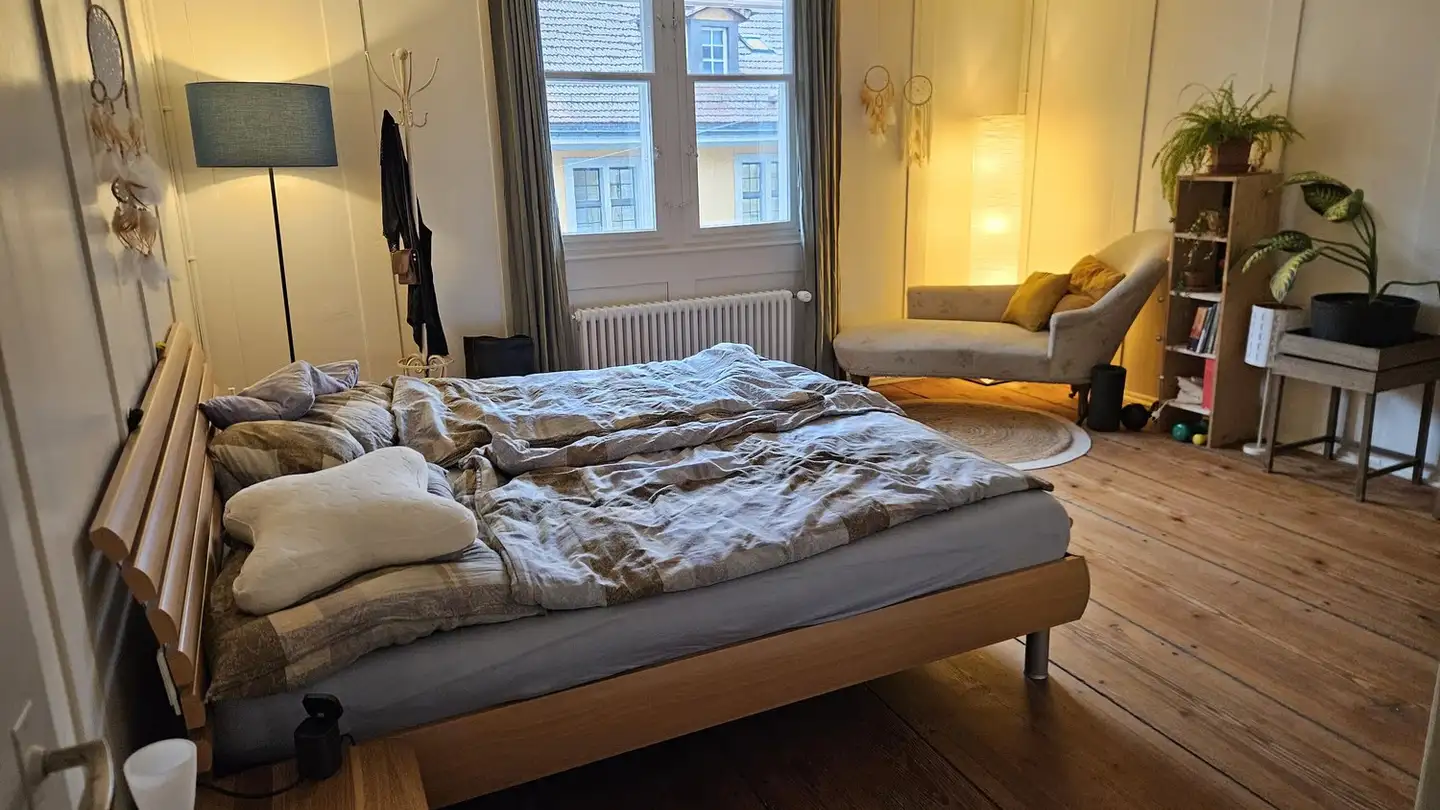 Furnished apartment for rent - Steinberggasse 6, 8400 Winterthur - Photo 2