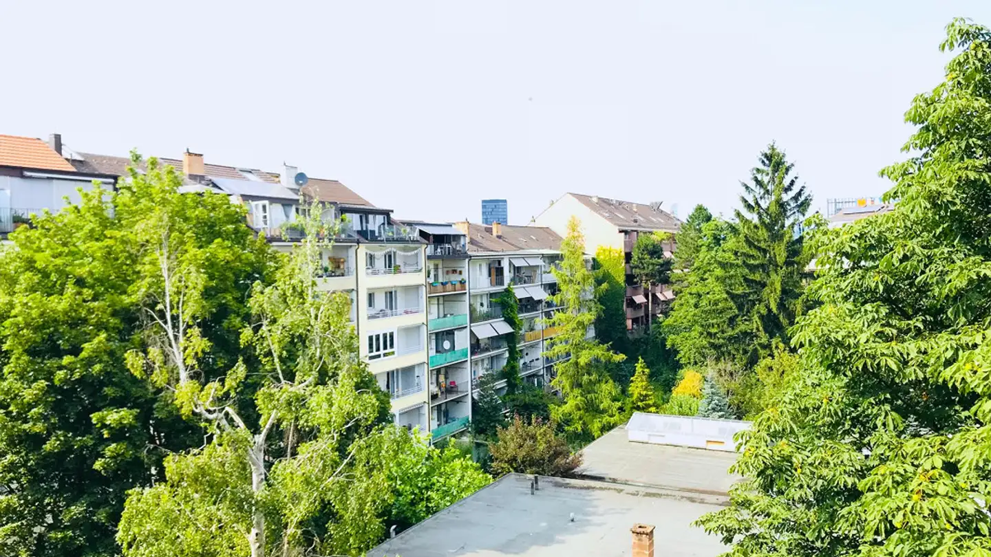 Appartamento in affitto - Gundeldingerstrasse 461, 4053 Basel