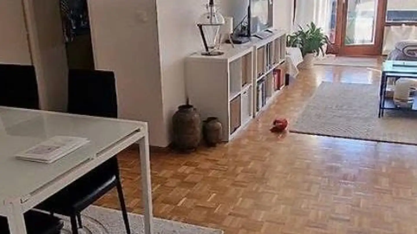 Wohnung mieten - 1213 Petit-Lancy
