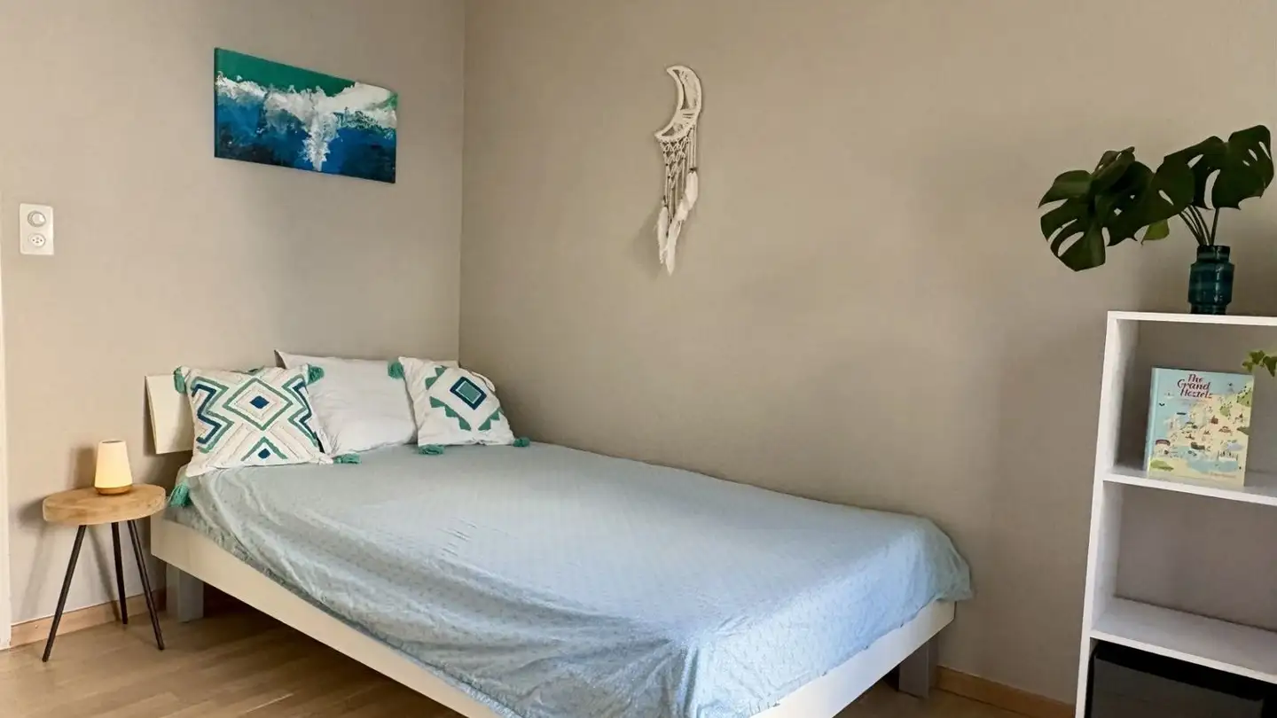 Chambre à louer - 8053 Zürich