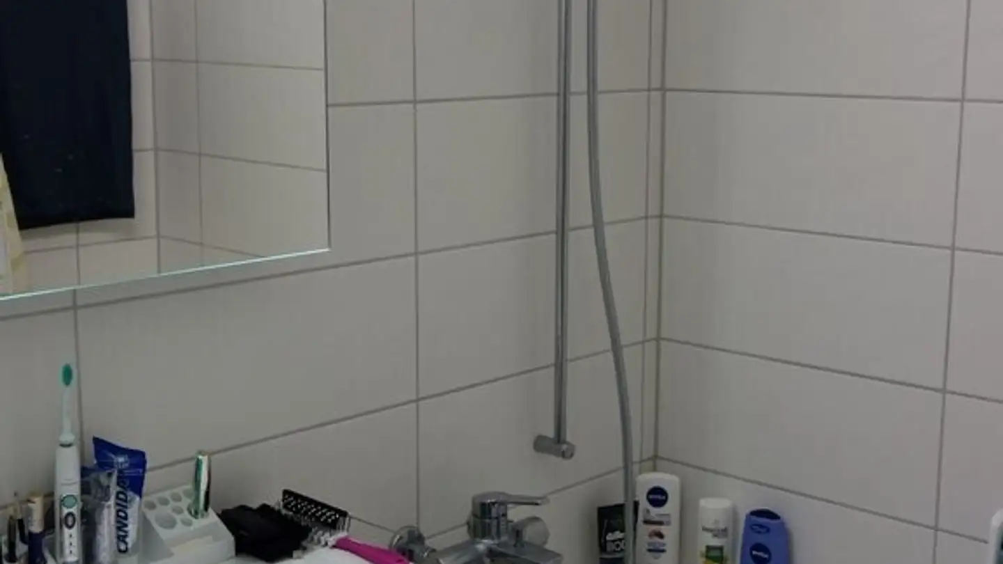 Apartment for rent - Kriesbachstrasse 1, 8600 Dübendorf - Photo 3