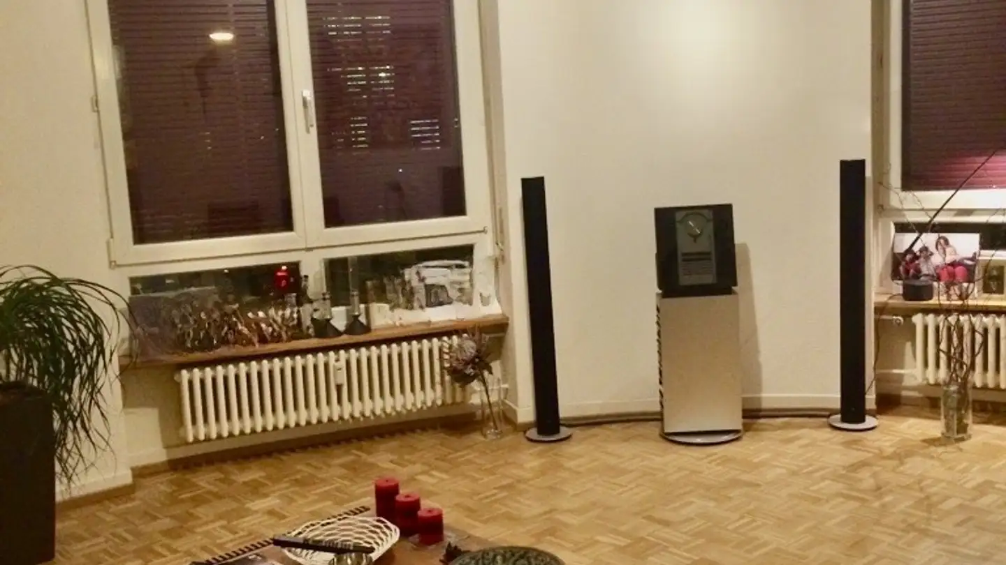 Apartment for rent - Holeestrasse 61, 4054 Basel - Photo 2