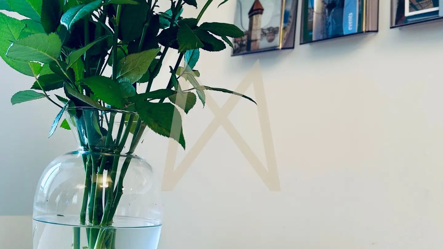Appartamento ammobiliato in affitto - Gesegnetmattstrasse, 6006 Luzern - Foto 4