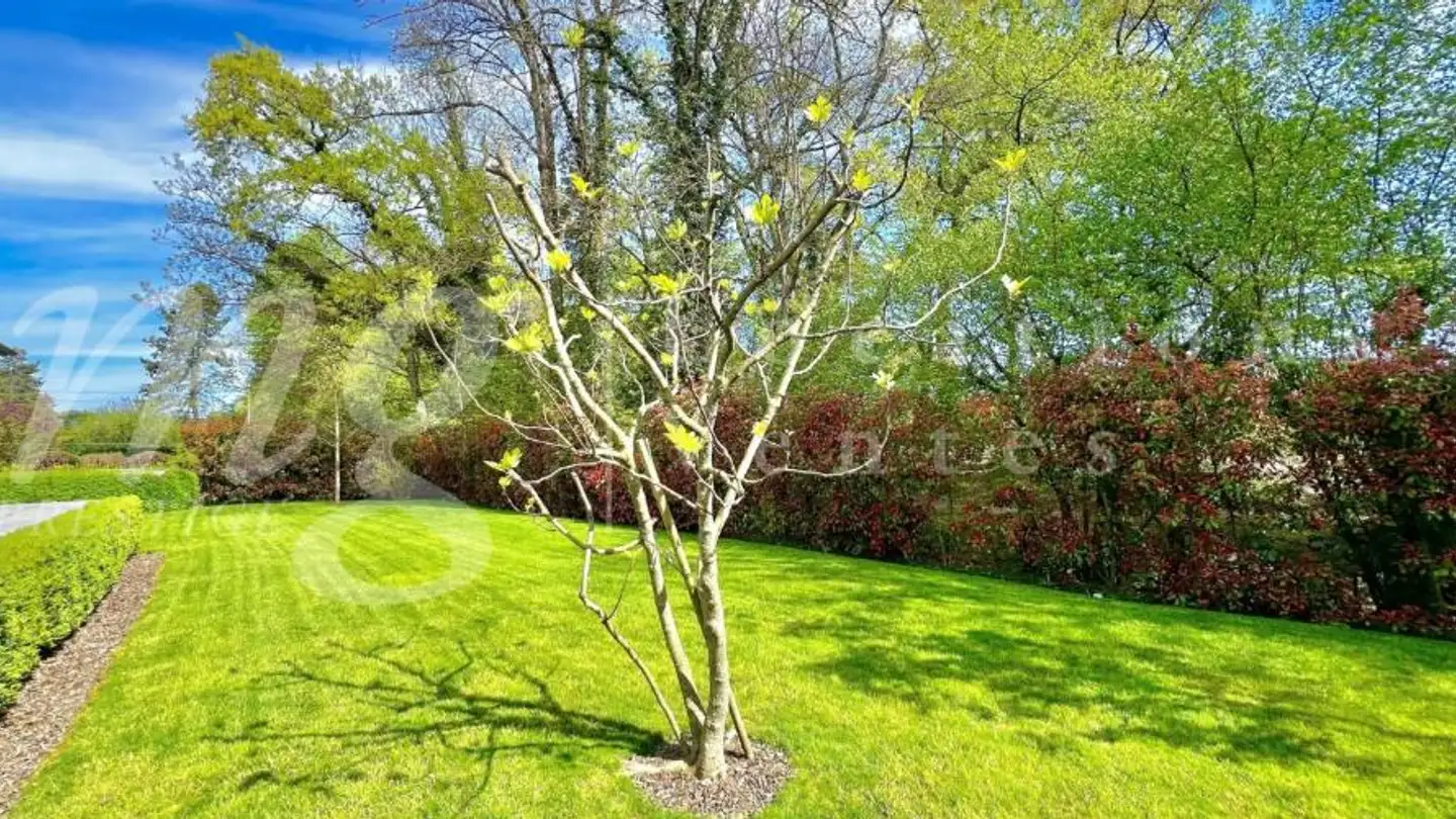 Single house for rent - 1253 Vandoeuvres - Photo 4