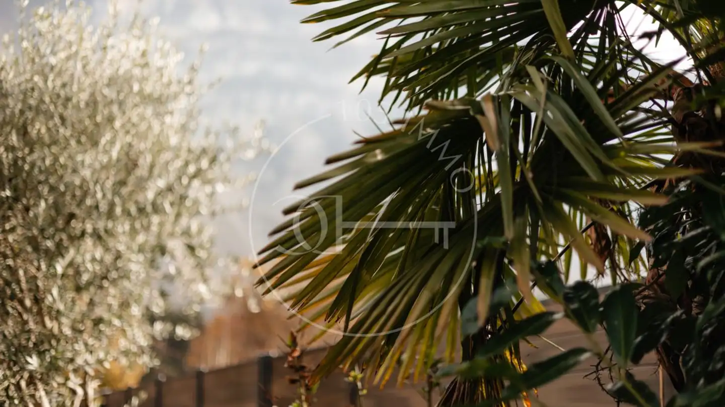 Maison individuelle à vendre - 1255 Veyrier