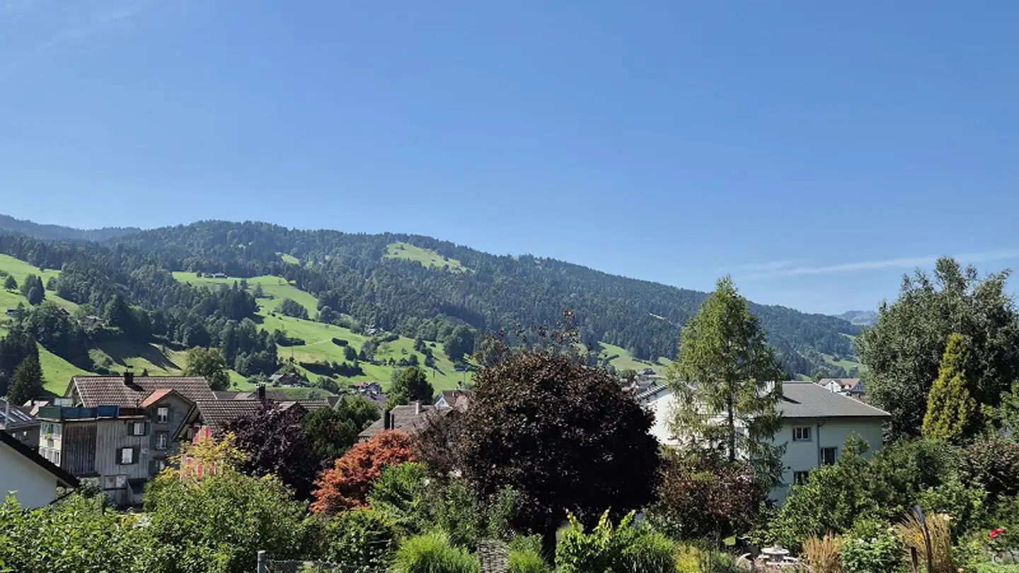 Maison individuelle à vendre - Stockenstrasse 22, 9642 Ebnat-Kappel