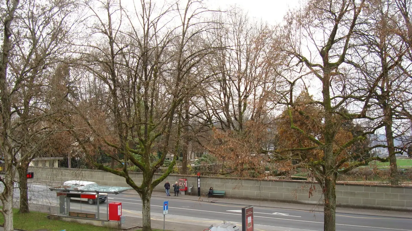 Apartment for rent - Laubeggstrasse 14, 3013 Bern - Photo 2