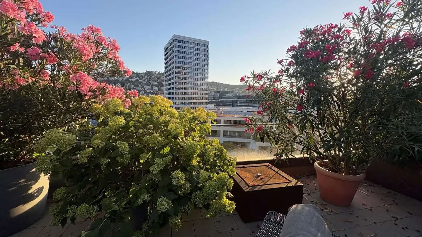 Penthouse for rent - Pfingstweidstrasse 104d, 8005 Zürich - Photo 2