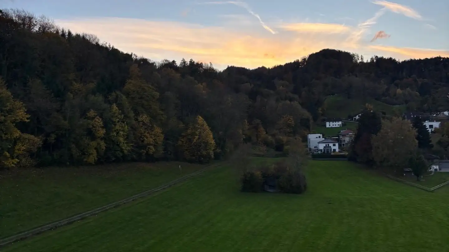 Appartement à louer - 9430 St. Margrethen SG - Photo 4