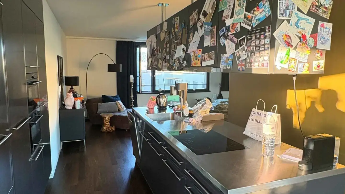 Penthouse for rent - Pfingstweidstrasse 104d, 8005 Zürich - Photo 4