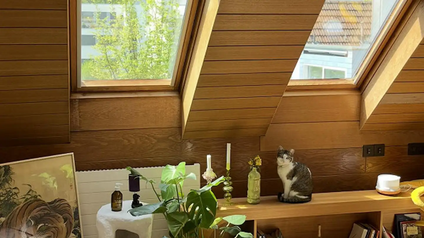 Apartment for rent - Wehntalerstrasse, 8046 Zürich - Photo 3