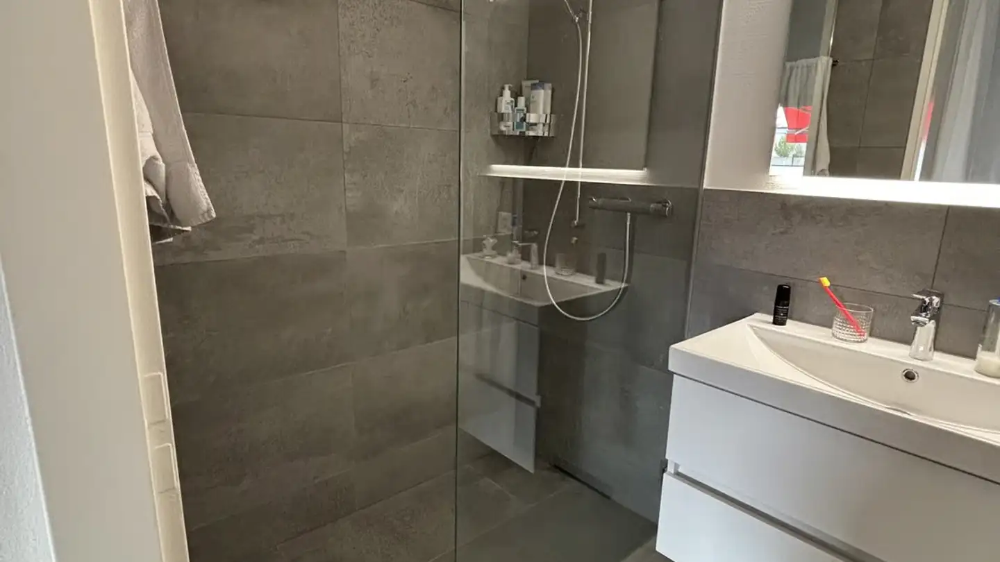 Furnished apartment for rent - 8903 Birmensdorf ZH - Photo 4