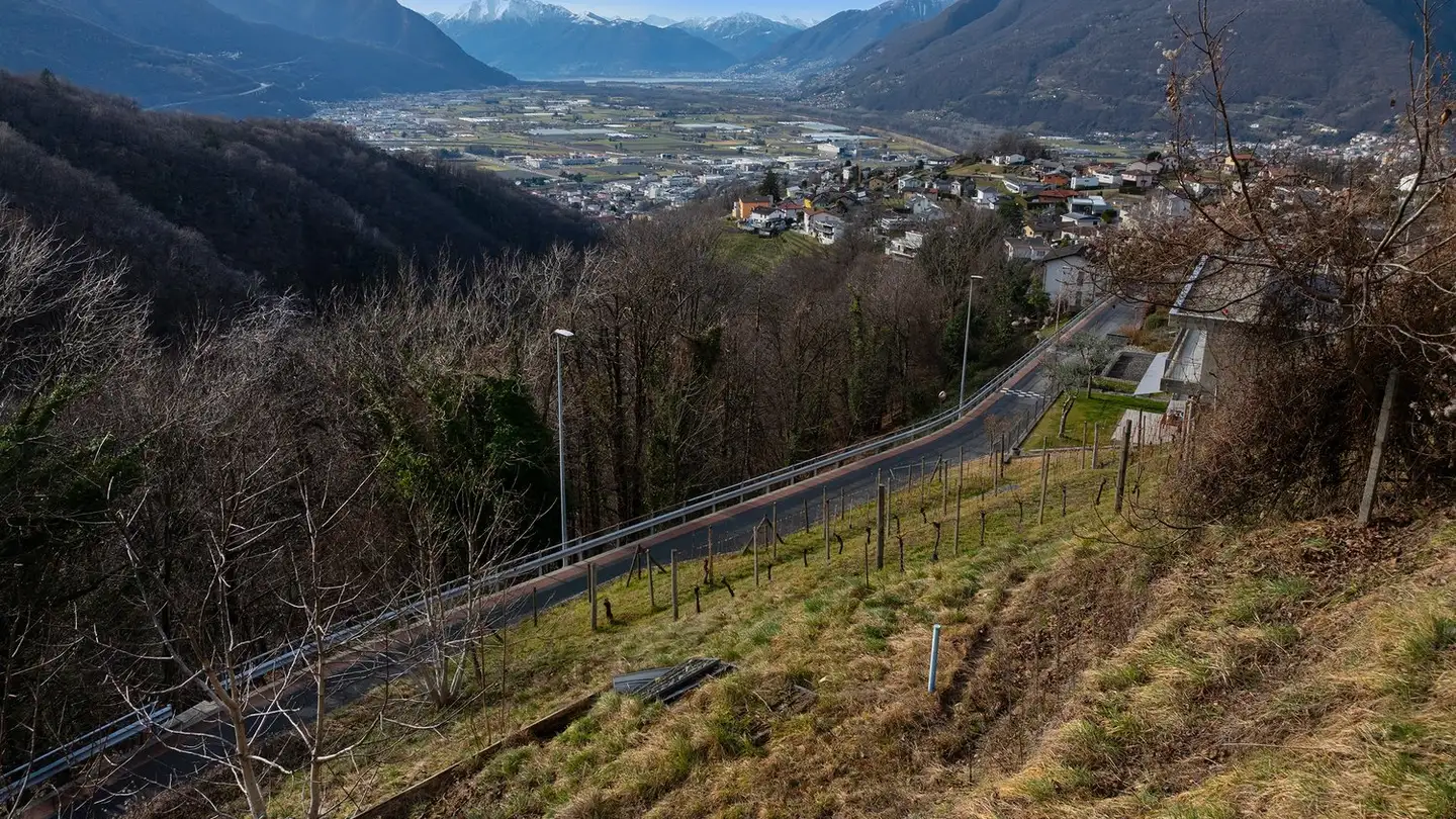 Terreno edificabile in vendita - 6582 Pianezzo - Photo 2