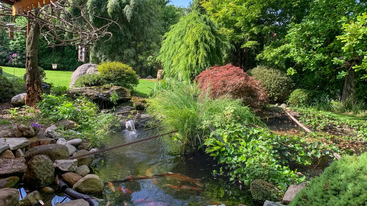 Maison individuelle à vendre - 8127 Forch - Photo 4