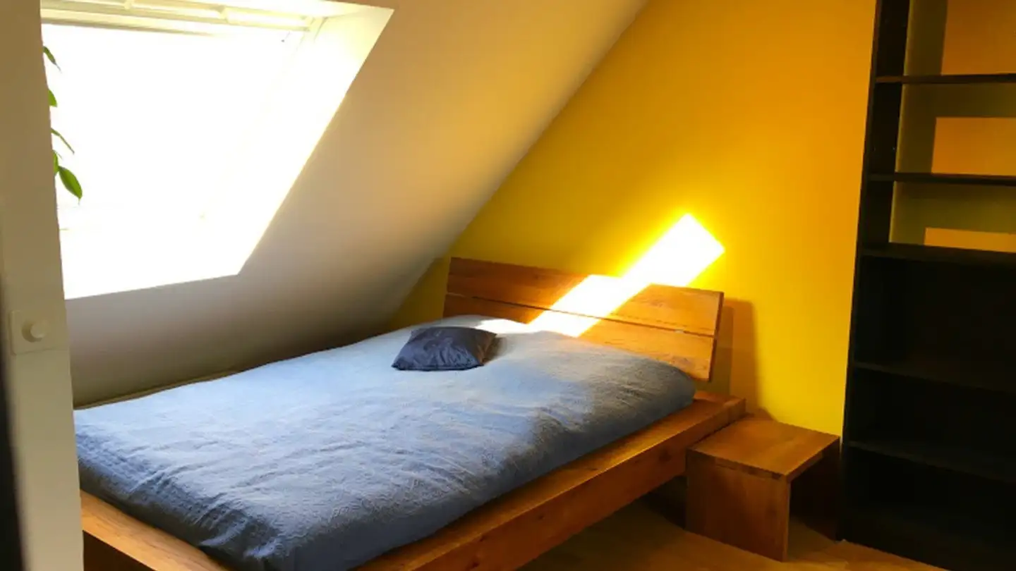 Chambre à louer - Schürgistrasse 26, 8051 Zürich - Photo 2